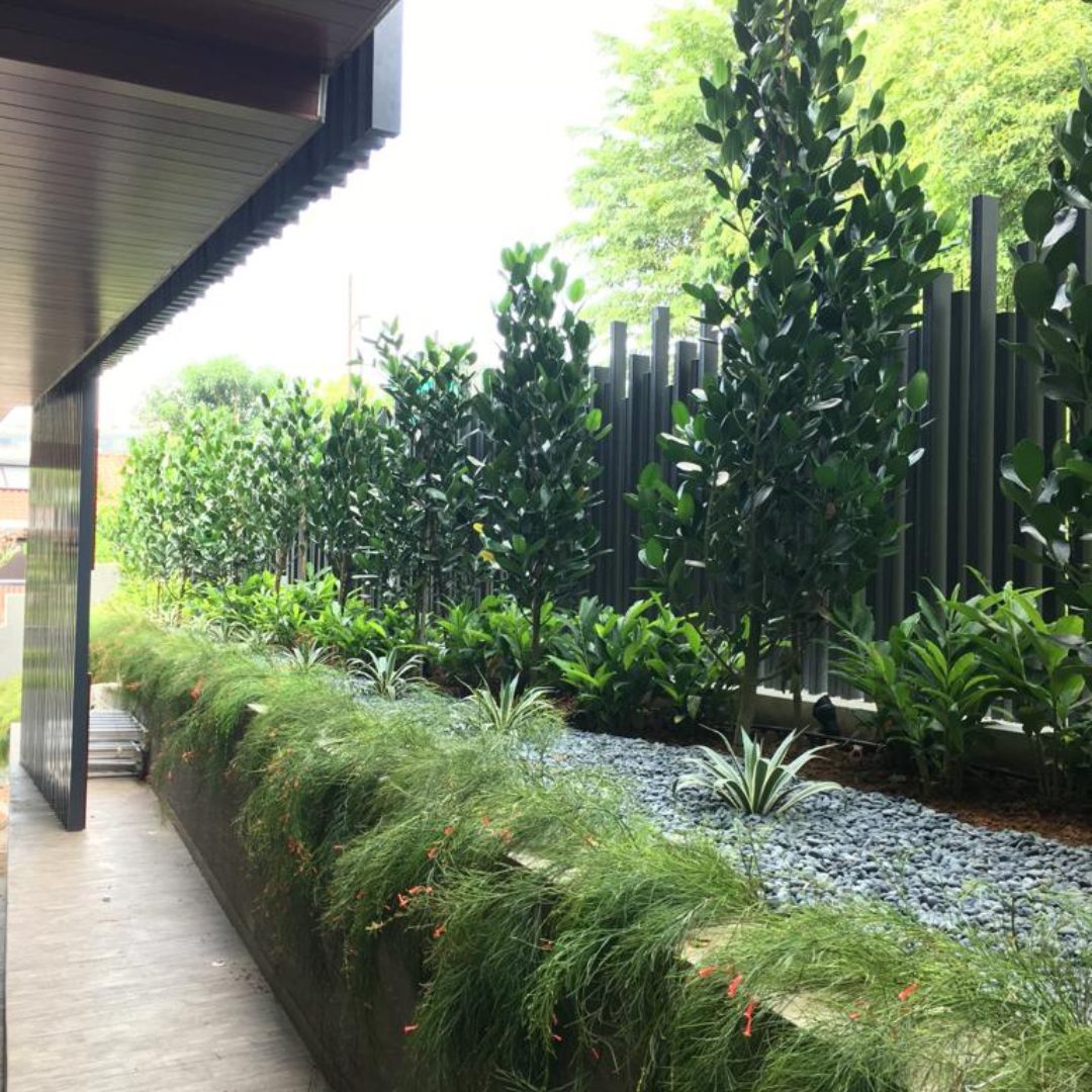 Landed Property Garden at Jalan Khairuddin